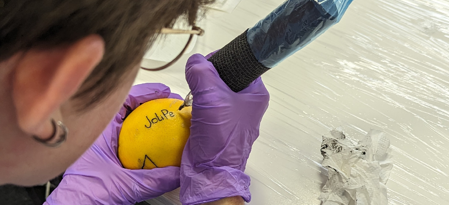 Tatouage sur des oranges