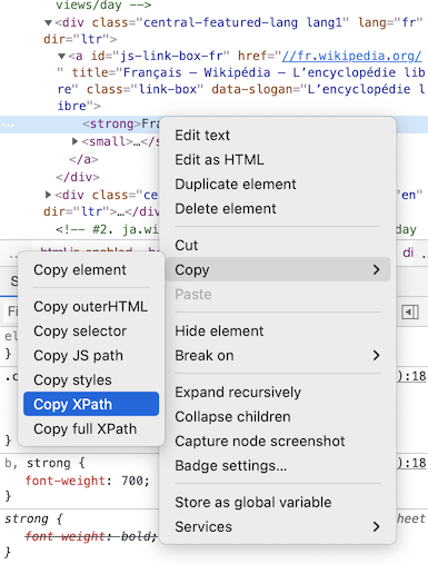 Capture d'écran des outils developer tools